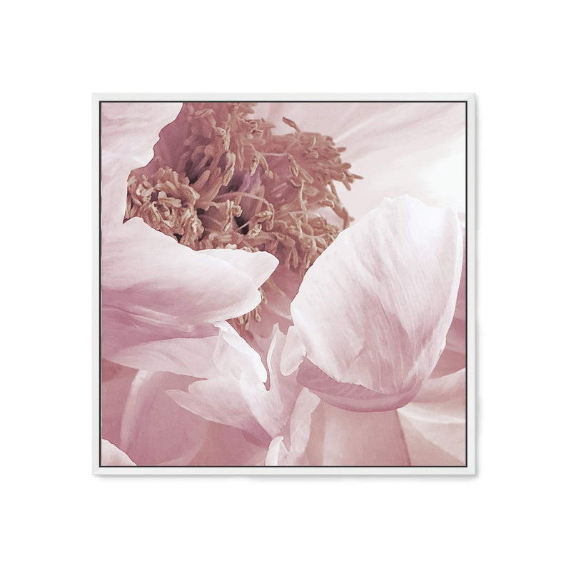 Dusty Pink Peonies Square II-The Paper Tree-Art Print,art prints,Artwork,floral,flower,framed,peonies,peony,pink,premium art print,square,wall art,Wall_Art,Wall_Art_Prints,white