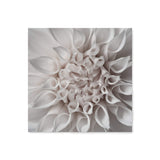 White Dahlia Square-The Paper Tree-Art Print,art prints,Artwork,boho,dahlia,floral,flower,framed,hamptons,neutral,premium art print,square,wall art,Wall_Art,Wall_Art_Prints,WHITE,white dahlia,white flower