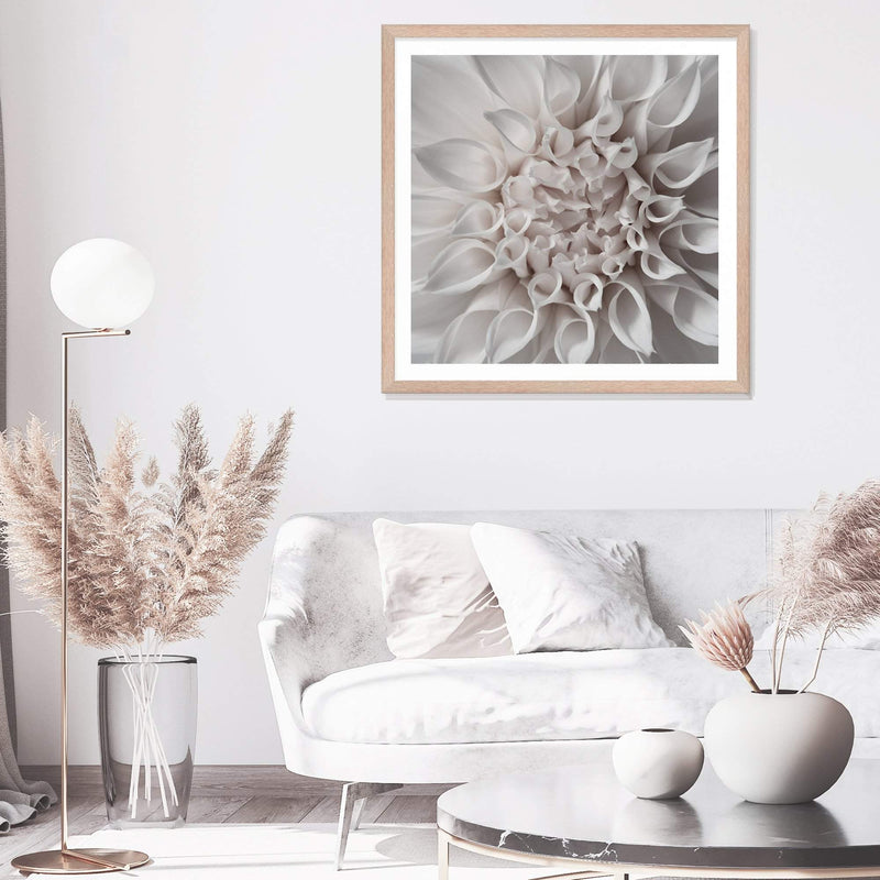 White Dahlia Square-The Paper Tree-Art Print,art prints,Artwork,boho,dahlia,floral,flower,framed,hamptons,neutral,premium art print,square,wall art,Wall_Art,Wall_Art_Prints,WHITE,white dahlia,white flower