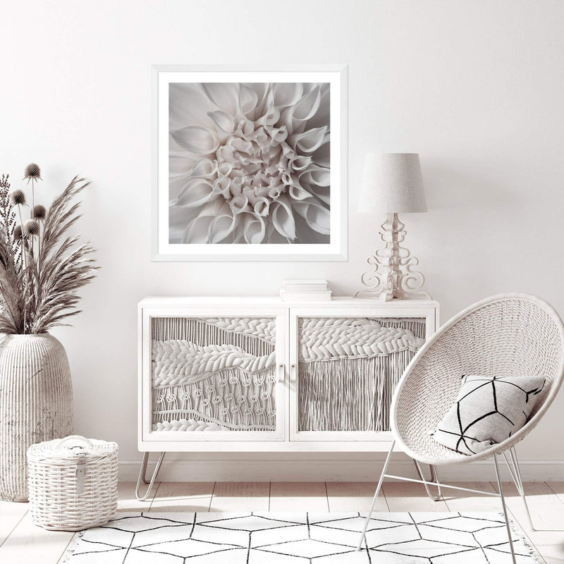 White Dahlia Square-The Paper Tree-Art Print,art prints,Artwork,boho,dahlia,floral,flower,framed,hamptons,neutral,premium art print,square,wall art,Wall_Art,Wall_Art_Prints,WHITE,white dahlia,white flower