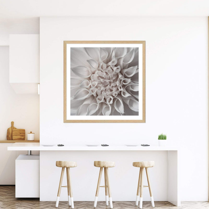 White Dahlia Square-The Paper Tree-Art Print,art prints,Artwork,boho,dahlia,floral,flower,framed,hamptons,neutral,premium art print,square,wall art,Wall_Art,Wall_Art_Prints,WHITE,white dahlia,white flower