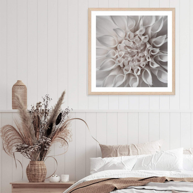 White Dahlia Square-The Paper Tree-Art Print,art prints,Artwork,boho,dahlia,floral,flower,framed,hamptons,neutral,premium art print,square,wall art,Wall_Art,Wall_Art_Prints,WHITE,white dahlia,white flower