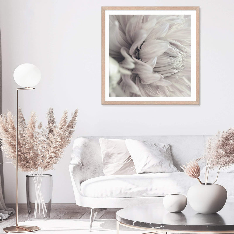 White Dahlia Square II-The Paper Tree-Art Print,art prints,Artwork,boho,DAHLIA,dahlia flower,floral,flower,framed,hamptons,neutral,premium art print,square,wall art,Wall_Art,Wall_Art_Prints,white,white flower