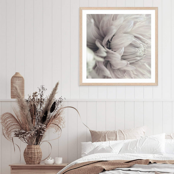 White Dahlia Square II-The Paper Tree-Art Print,art prints,Artwork,boho,DAHLIA,dahlia flower,floral,flower,framed,hamptons,neutral,premium art print,square,wall art,Wall_Art,Wall_Art_Prints,white,white flower