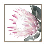 Dusty Pink Protea Square-The Paper Tree-dusty pink,floral,floral artwork,flower,flowers,green,pink,pink flower,pink protea,portrait,protea,protea art,protea artwork,protea flower,protea flowers,square,wall art,Wall_Art,Wall_Art_Prints