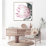 Dusty Pink Protea Square-The Paper Tree-dusty pink,floral,floral artwork,flower,flowers,green,pink,pink flower,pink protea,portrait,protea,protea art,protea artwork,protea flower,protea flowers,square,wall art,Wall_Art,Wall_Art_Prints