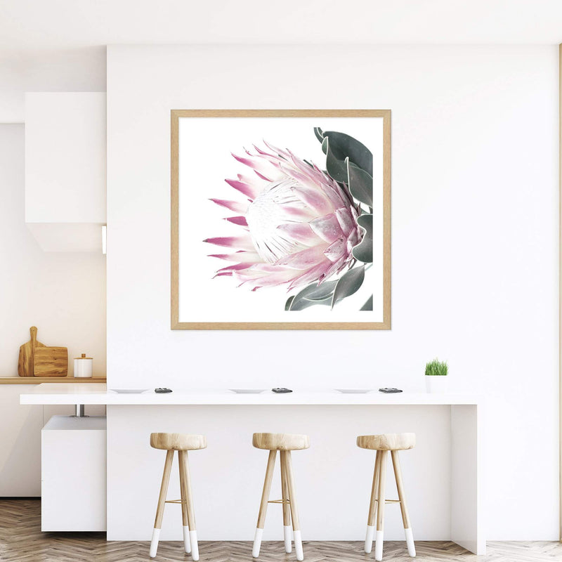 Dusty Pink Protea Square-The Paper Tree-dusty pink,floral,floral artwork,flower,flowers,green,pink,pink flower,pink protea,portrait,protea,protea art,protea artwork,protea flower,protea flowers,square,wall art,Wall_Art,Wall_Art_Prints