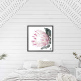 Dusty Pink Protea Square-The Paper Tree-dusty pink,floral,floral artwork,flower,flowers,green,pink,pink flower,pink protea,portrait,protea,protea art,protea artwork,protea flower,protea flowers,square,wall art,Wall_Art,Wall_Art_Prints