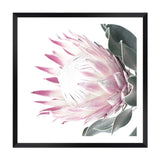 Dusty Pink Protea Square-The Paper Tree-dusty pink,floral,floral artwork,flower,flowers,green,pink,pink flower,pink protea,portrait,protea,protea art,protea artwork,protea flower,protea flowers,square,wall art,Wall_Art,Wall_Art_Prints