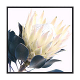 Yellow Protea Square II-The Paper Tree-floral,flower,flowers,portrait,premium art print,protea,protea flower,protea flowers,square,wall art,Wall_Art,Wall_Art_Prints,yellow,yellow flower