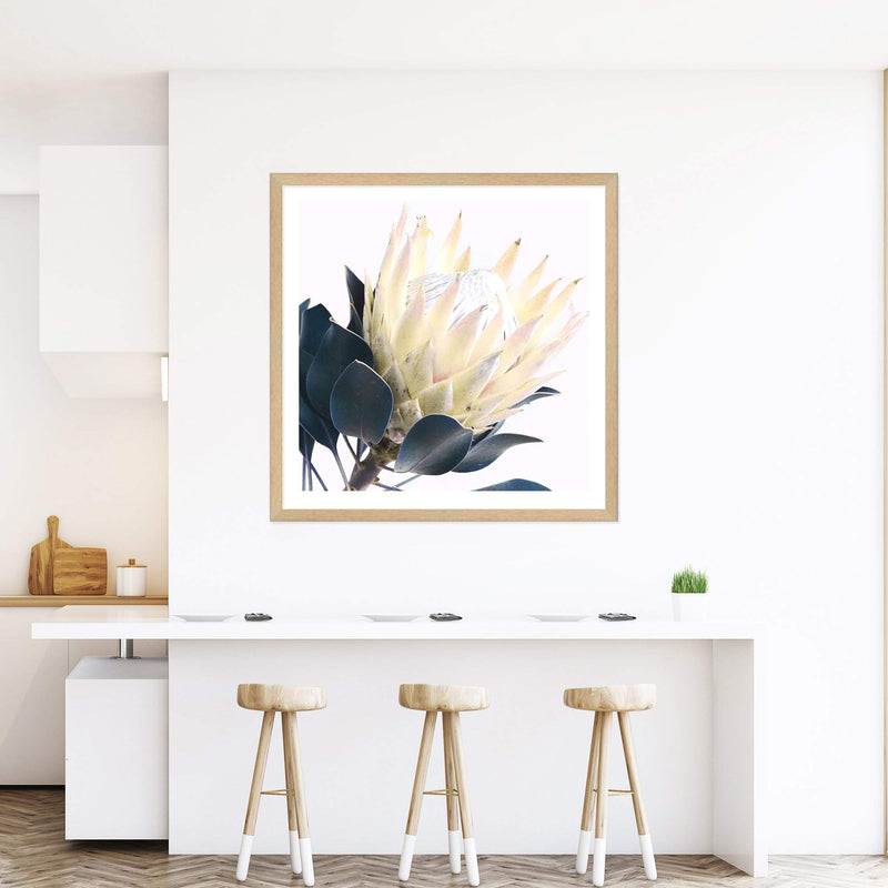 Yellow Protea Square II-The Paper Tree-floral,flower,flowers,portrait,premium art print,protea,protea flower,protea flowers,square,wall art,Wall_Art,Wall_Art_Prints,yellow,yellow flower