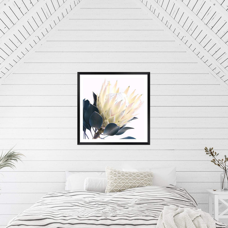 Yellow Protea Square II-The Paper Tree-floral,flower,flowers,portrait,premium art print,protea,protea flower,protea flowers,square,wall art,Wall_Art,Wall_Art_Prints,yellow,yellow flower