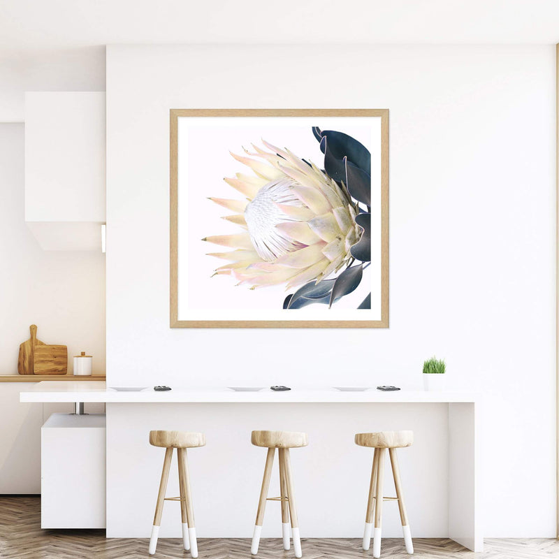 Yellow Protea Square-The Paper Tree-floral,flower,flowers,portrait,premium art print,protea,protea flower,protea flowers,square,wall art,Wall_Art,Wall_Art_Prints,yellow,yellow flower