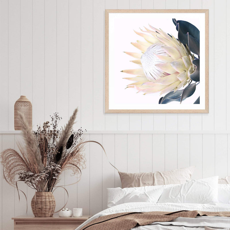 Yellow Protea Square-The Paper Tree-floral,flower,flowers,portrait,premium art print,protea,protea flower,protea flowers,square,wall art,Wall_Art,Wall_Art_Prints,yellow,yellow flower