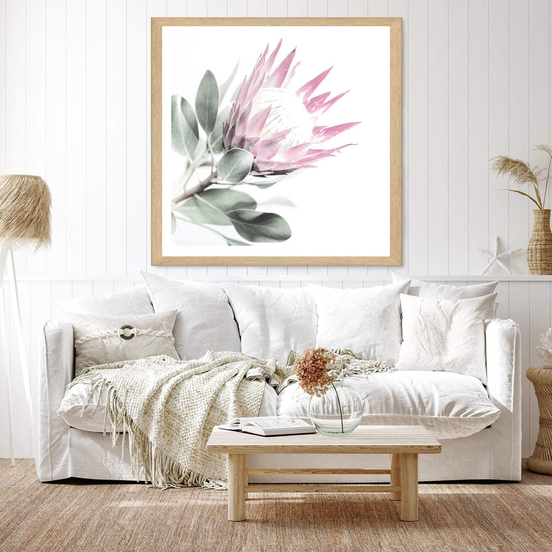 Pink Protea Square II-The Paper Tree-dusty pink,floral,flower,flowers,pink flower,pink protea,portrait,premium art print,protea,protea flower,protea flowers,square,wall art,Wall_Art,Wall_Art_Prints