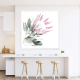 Pink Protea Square II-The Paper Tree-dusty pink,floral,flower,flowers,pink flower,pink protea,portrait,premium art print,protea,protea flower,protea flowers,square,wall art,Wall_Art,Wall_Art_Prints