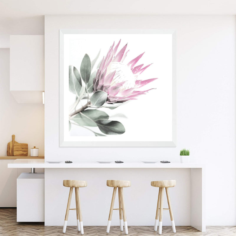 Pink Protea Square II-The Paper Tree-dusty pink,floral,flower,flowers,pink flower,pink protea,portrait,premium art print,protea,protea flower,protea flowers,square,wall art,Wall_Art,Wall_Art_Prints