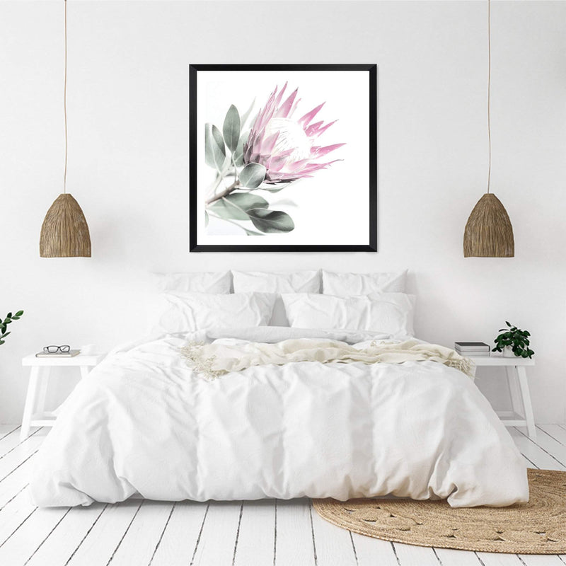 Pink Protea Square II-The Paper Tree-dusty pink,floral,flower,flowers,pink flower,pink protea,portrait,premium art print,protea,protea flower,protea flowers,square,wall art,Wall_Art,Wall_Art_Prints