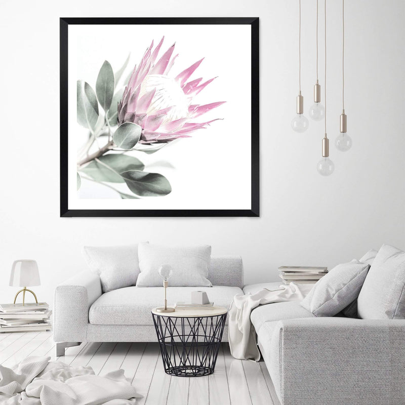 Pink Protea Square II-The Paper Tree-dusty pink,floral,flower,flowers,pink flower,pink protea,portrait,premium art print,protea,protea flower,protea flowers,square,wall art,Wall_Art,Wall_Art_Prints