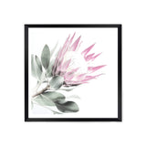 Pink Protea Square II-The Paper Tree-dusty pink,floral,flower,flowers,pink flower,pink protea,portrait,premium art print,protea,protea flower,protea flowers,square,wall art,Wall_Art,Wall_Art_Prints