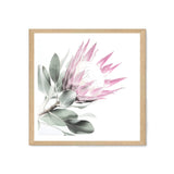 Pink Protea Square II-The Paper Tree-dusty pink,floral,flower,flowers,pink flower,pink protea,portrait,premium art print,protea,protea flower,protea flowers,square,wall art,Wall_Art,Wall_Art_Prints