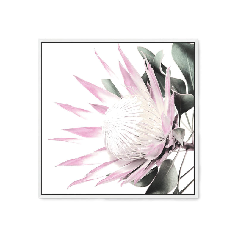 Pink Protea Square-The Paper Tree-dusty pink,floral,flower,flowers,pink flower,pink protea,portrait,premium art print,protea,protea flower,protea flowers,square,wall art,Wall_Art,Wall_Art_Prints