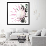 Pink Protea Square-The Paper Tree-dusty pink,floral,flower,flowers,pink flower,pink protea,portrait,premium art print,protea,protea flower,protea flowers,square,wall art,Wall_Art,Wall_Art_Prints