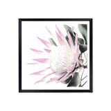 Pink Protea Square-The Paper Tree-dusty pink,floral,flower,flowers,pink flower,pink protea,portrait,premium art print,protea,protea flower,protea flowers,square,wall art,Wall_Art,Wall_Art_Prints