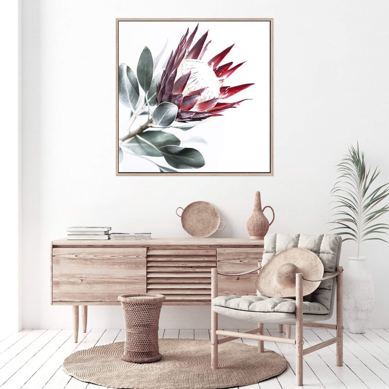 Red King Protea Square II-The Paper Tree-floral,flower,flowers,portrait,premium art print,protea,protea flower,protea flowers,red,red flower,red protea,red protea flower,square,wall art,Wall_Art,Wall_Art_Prints