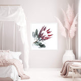 Red King Protea Square II-The Paper Tree-floral,flower,flowers,portrait,premium art print,protea,protea flower,protea flowers,red,red flower,red protea,red protea flower,square,wall art,Wall_Art,Wall_Art_Prints