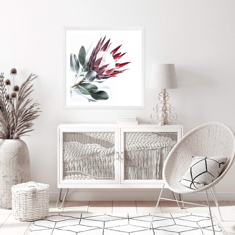 Red King Protea Square II-The Paper Tree-floral,flower,flowers,portrait,premium art print,protea,protea flower,protea flowers,red,red flower,red protea,red protea flower,square,wall art,Wall_Art,Wall_Art_Prints