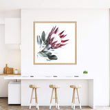 Red King Protea Square II-The Paper Tree-floral,flower,flowers,portrait,premium art print,protea,protea flower,protea flowers,red,red flower,red protea,red protea flower,square,wall art,Wall_Art,Wall_Art_Prints