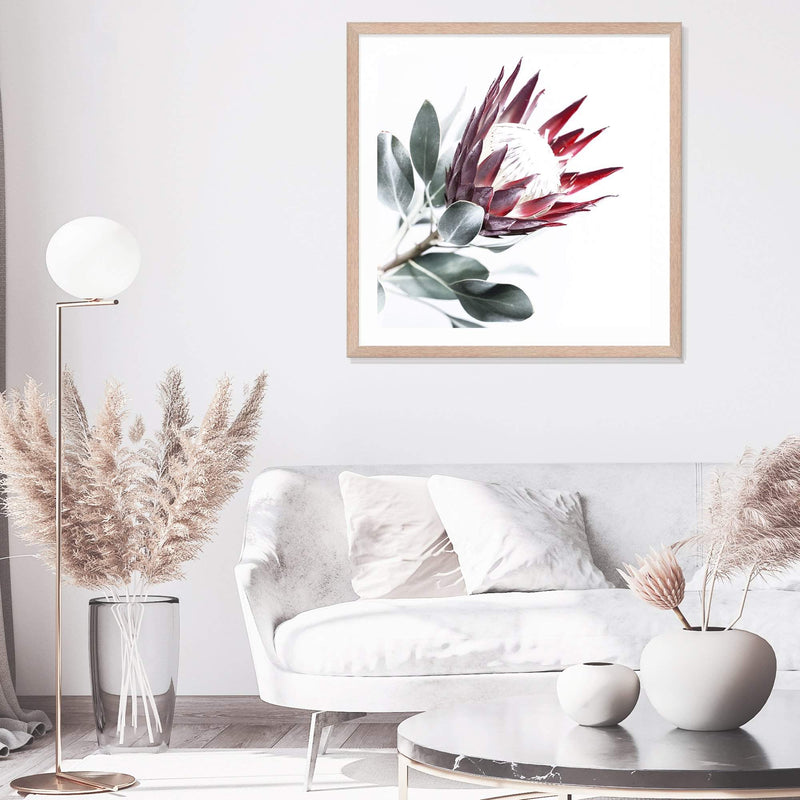 Red King Protea Square II-The Paper Tree-floral,flower,flowers,portrait,premium art print,protea,protea flower,protea flowers,red,red flower,red protea,red protea flower,square,wall art,Wall_Art,Wall_Art_Prints