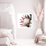 Red King Protea Square-The Paper Tree-floral,flower,flowers,portrait,premium art print,protea,protea flower,protea flowers,red,red flower,red protea,red protea flower,square,wall art,Wall_Art,Wall_Art_Prints