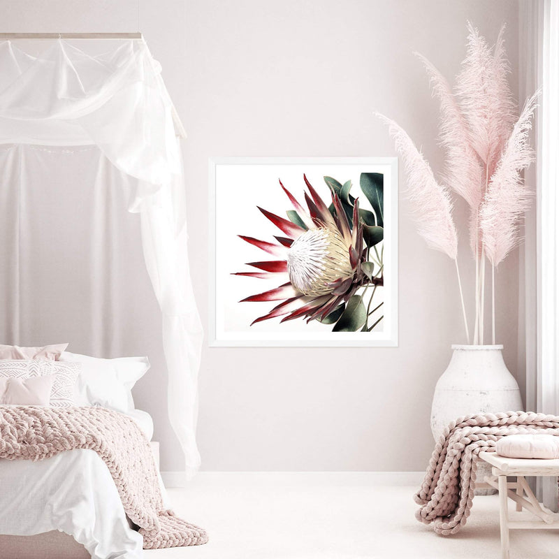 Red King Protea Square-The Paper Tree-floral,flower,flowers,portrait,premium art print,protea,protea flower,protea flowers,red,red flower,red protea,red protea flower,square,wall art,Wall_Art,Wall_Art_Prints