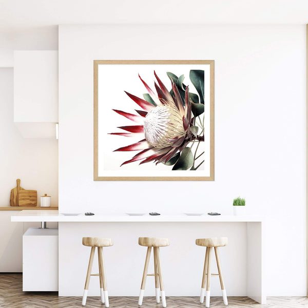 Red King Protea Square-The Paper Tree-floral,flower,flowers,portrait,premium art print,protea,protea flower,protea flowers,red,red flower,red protea,red protea flower,square,wall art,Wall_Art,Wall_Art_Prints