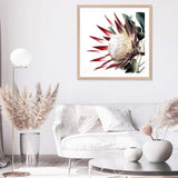 Red King Protea Square-The Paper Tree-floral,flower,flowers,portrait,premium art print,protea,protea flower,protea flowers,red,red flower,red protea,red protea flower,square,wall art,Wall_Art,Wall_Art_Prints