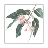 Native Gum Square-The Paper Tree-Art Print,art prints,Artwork,australia,australian,australian native,australiana,botanical,eucalyptus,eucalyptus leaf,eucalyptus leaves,floral,flower,framed,green,gum,gum leaf,gum leaves,HAMPTONS,Muted Tone,native,peach,pink,pink flower,premium art print,square,wall art,Wall_Art,Wall_Art_Prints,wild flower