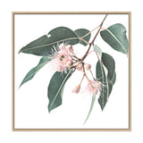 Native Gum Square-The Paper Tree-Art Print,art prints,Artwork,australia,australian,australian native,australiana,botanical,eucalyptus,eucalyptus leaf,eucalyptus leaves,floral,flower,framed,green,gum,gum leaf,gum leaves,HAMPTONS,Muted Tone,native,peach,pink,pink flower,premium art print,square,wall art,Wall_Art,Wall_Art_Prints,wild flower