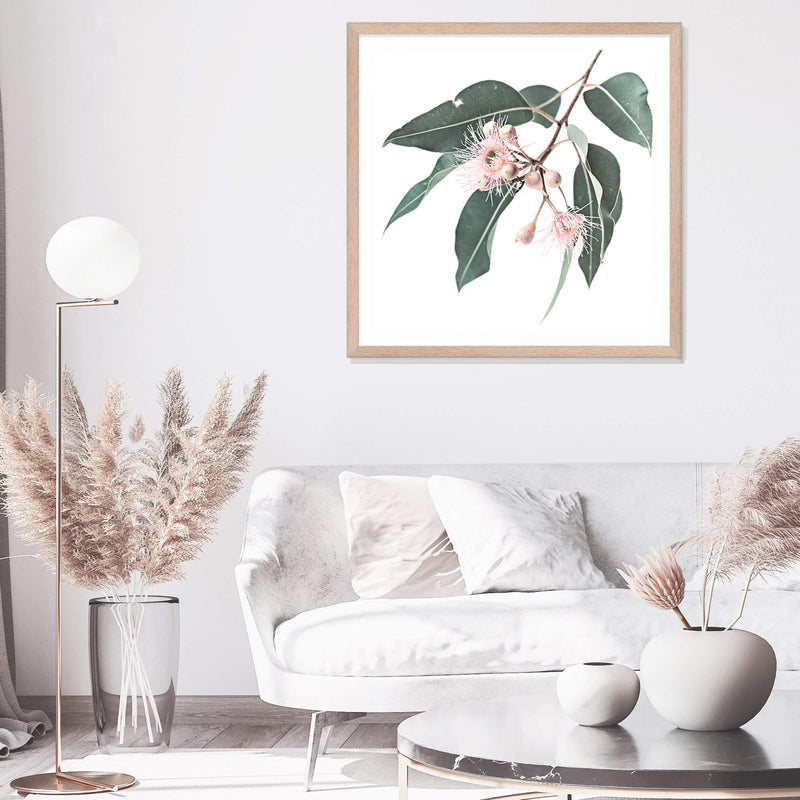 Native Gum Square-The Paper Tree-Art Print,art prints,Artwork,australia,australian,australian native,australiana,botanical,eucalyptus,eucalyptus leaf,eucalyptus leaves,floral,flower,framed,green,gum,gum leaf,gum leaves,HAMPTONS,Muted Tone,native,peach,pink,pink flower,premium art print,square,wall art,Wall_Art,Wall_Art_Prints,wild flower