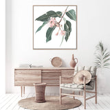 Native Gum Square-The Paper Tree-Art Print,art prints,Artwork,australia,australian,australian native,australiana,botanical,eucalyptus,eucalyptus leaf,eucalyptus leaves,floral,flower,framed,green,gum,gum leaf,gum leaves,HAMPTONS,Muted Tone,native,peach,pink,pink flower,premium art print,square,wall art,Wall_Art,Wall_Art_Prints,wild flower