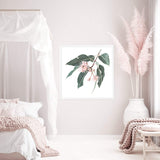 Native Gum Square-The Paper Tree-Art Print,art prints,Artwork,australia,australian,australian native,australiana,botanical,eucalyptus,eucalyptus leaf,eucalyptus leaves,floral,flower,framed,green,gum,gum leaf,gum leaves,HAMPTONS,Muted Tone,native,peach,pink,pink flower,premium art print,square,wall art,Wall_Art,Wall_Art_Prints,wild flower