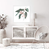 Native Gum Square-The Paper Tree-Art Print,art prints,Artwork,australia,australian,australian native,australiana,botanical,eucalyptus,eucalyptus leaf,eucalyptus leaves,floral,flower,framed,green,gum,gum leaf,gum leaves,HAMPTONS,Muted Tone,native,peach,pink,pink flower,premium art print,square,wall art,Wall_Art,Wall_Art_Prints,wild flower