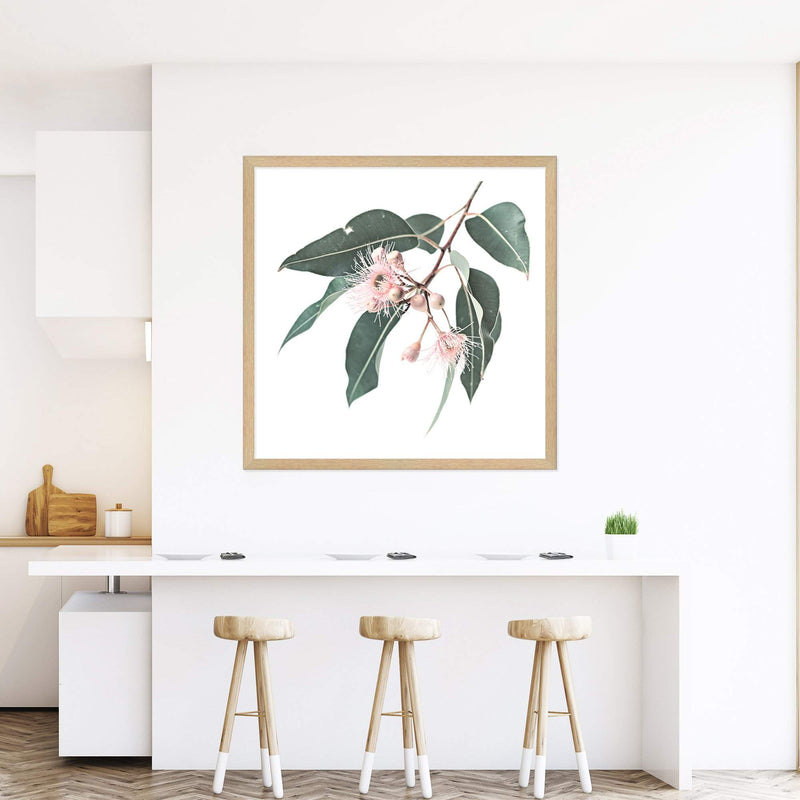 Native Gum Square-The Paper Tree-Art Print,art prints,Artwork,australia,australian,australian native,australiana,botanical,eucalyptus,eucalyptus leaf,eucalyptus leaves,floral,flower,framed,green,gum,gum leaf,gum leaves,HAMPTONS,Muted Tone,native,peach,pink,pink flower,premium art print,square,wall art,Wall_Art,Wall_Art_Prints,wild flower