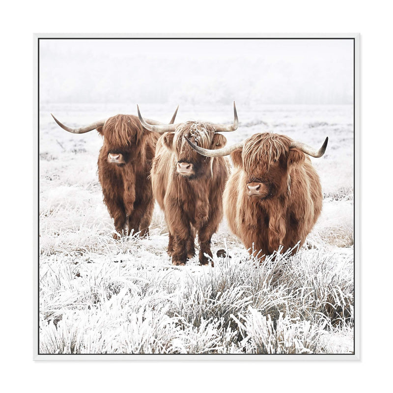 Highland Cattle | Square-The Paper Tree-animal,Art Print,art prints,Artwork,boho,framed,highland,highland bull,highland cattle,highland cow,neutral,premium art print,square,tan,wall art,Wall_Art,Wall_Art_Prints