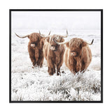 Highland Cattle | Square-The Paper Tree-animal,Art Print,art prints,Artwork,boho,framed,highland,highland bull,highland cattle,highland cow,neutral,premium art print,square,tan,wall art,Wall_Art,Wall_Art_Prints