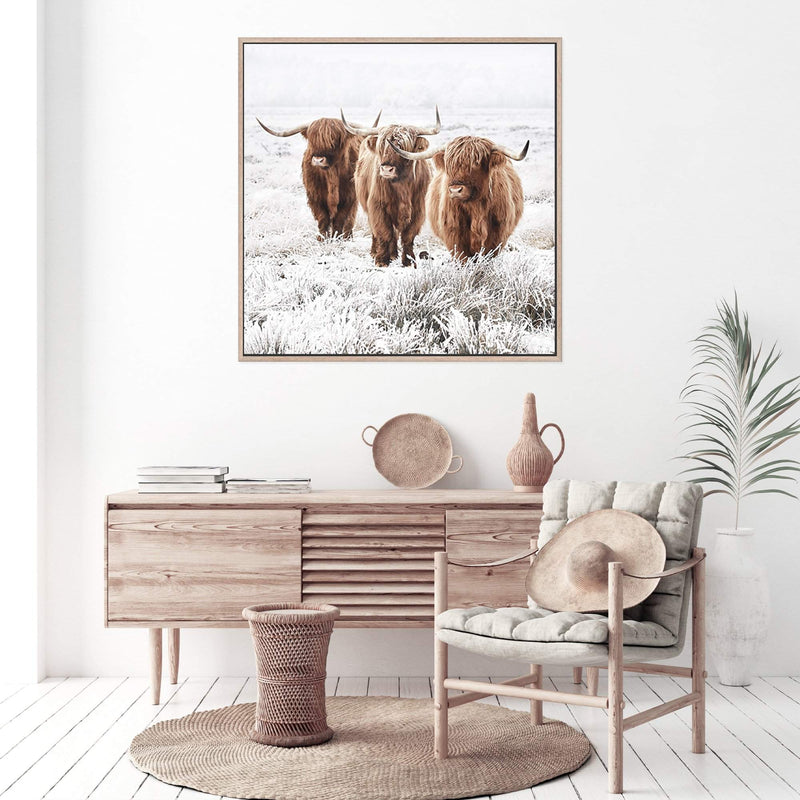 Highland Cattle | Square-The Paper Tree-animal,Art Print,art prints,Artwork,boho,framed,highland,highland bull,highland cattle,highland cow,neutral,premium art print,square,tan,wall art,Wall_Art,Wall_Art_Prints