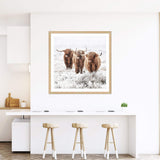 Highland Cattle | Square-The Paper Tree-animal,Art Print,art prints,Artwork,boho,framed,highland,highland bull,highland cattle,highland cow,neutral,premium art print,square,tan,wall art,Wall_Art,Wall_Art_Prints