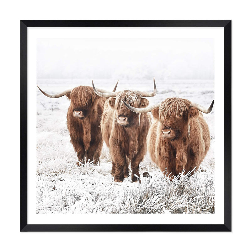 Highland Cattle | Square-The Paper Tree-animal,Art Print,art prints,Artwork,boho,framed,highland,highland bull,highland cattle,highland cow,neutral,premium art print,square,tan,wall art,Wall_Art,Wall_Art_Prints