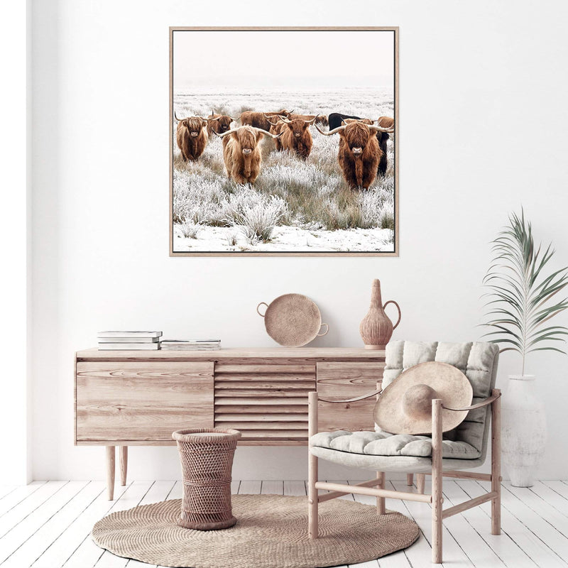 Highland Cattle Herd | Square-The Paper Tree-animal,Art Print,art prints,Artwork,boho,framed,highland,highland bull,highland cattle,highland cow,neutral,premium art print,square,tan,wall art,Wall_Art,Wall_Art_Prints